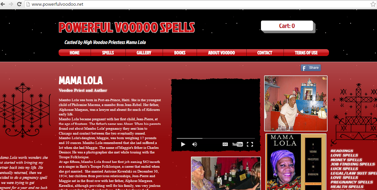 Here's what their site looks like. The domain name/website name will change, but it almost always looks the same.