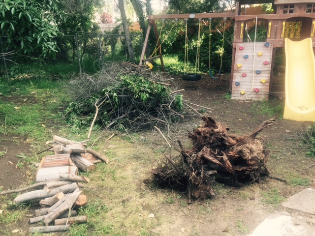 This is the small tree that my husband cut up, we put it in 3 neat piles....he told me that this job was too difficult! Keep in mind this is supposed to be a tree service company?!?