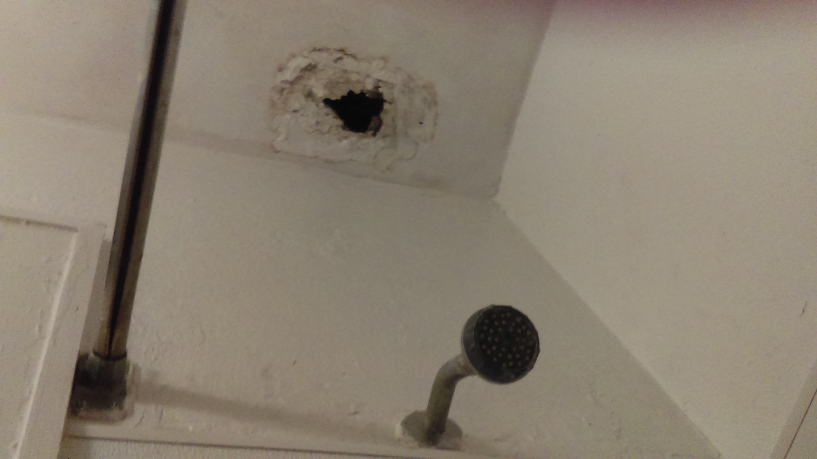 Hole in my roof. I put in 5 maintenance request in a 3 year period, and they never fixed it. 
