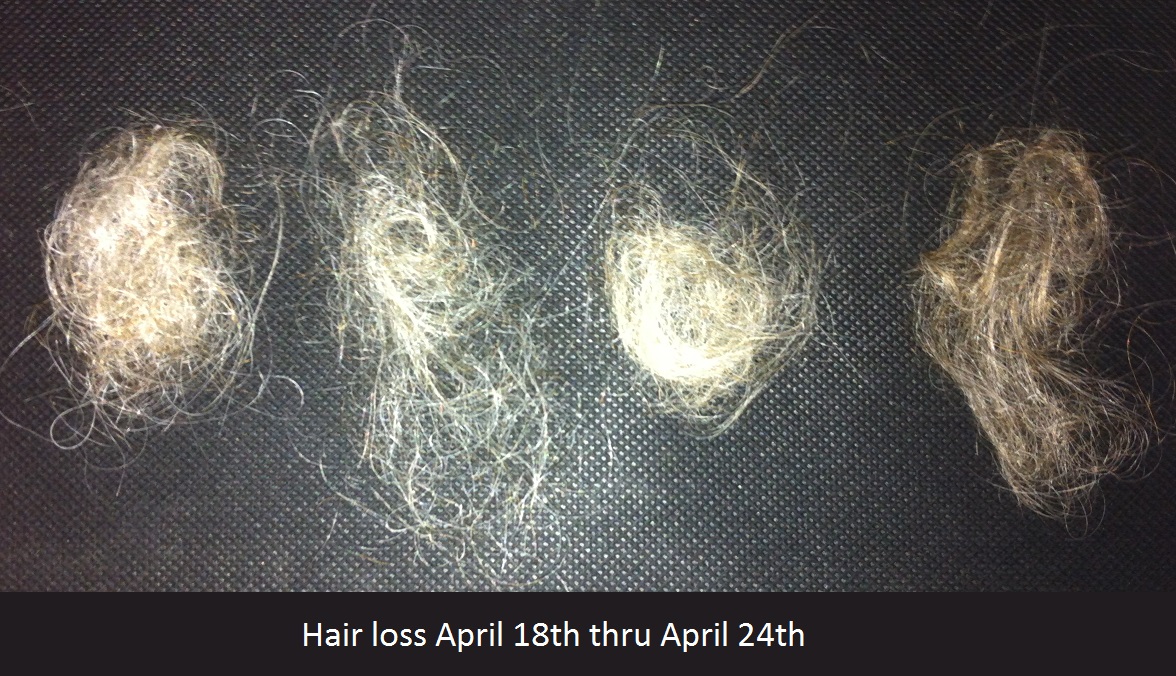 One week average hair loss