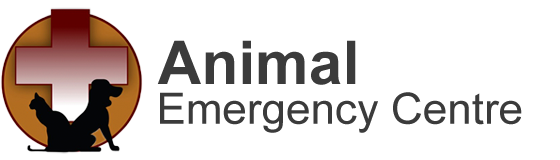 Animal Emergency Centre