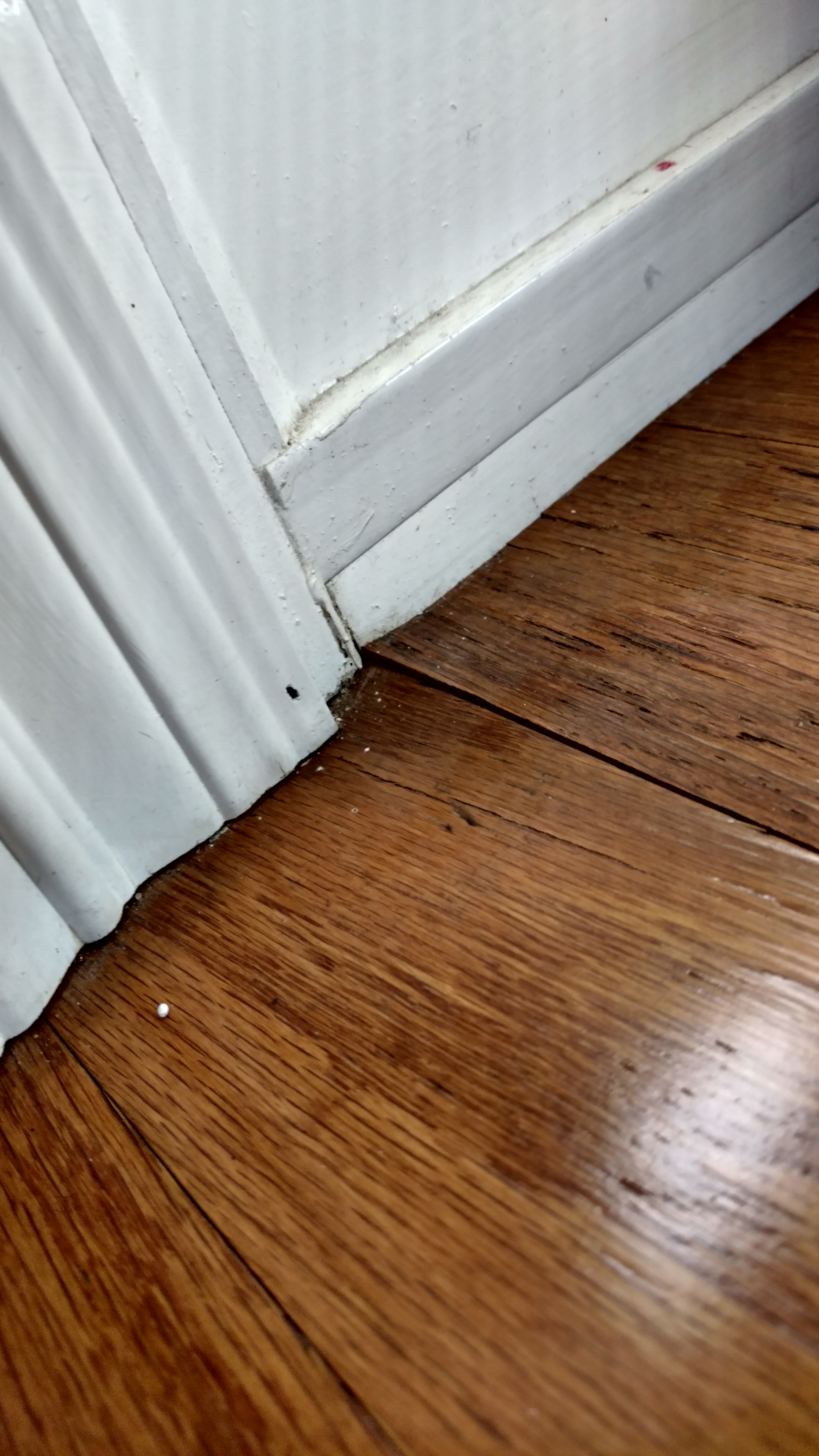 Buckled floor on front door threshold.