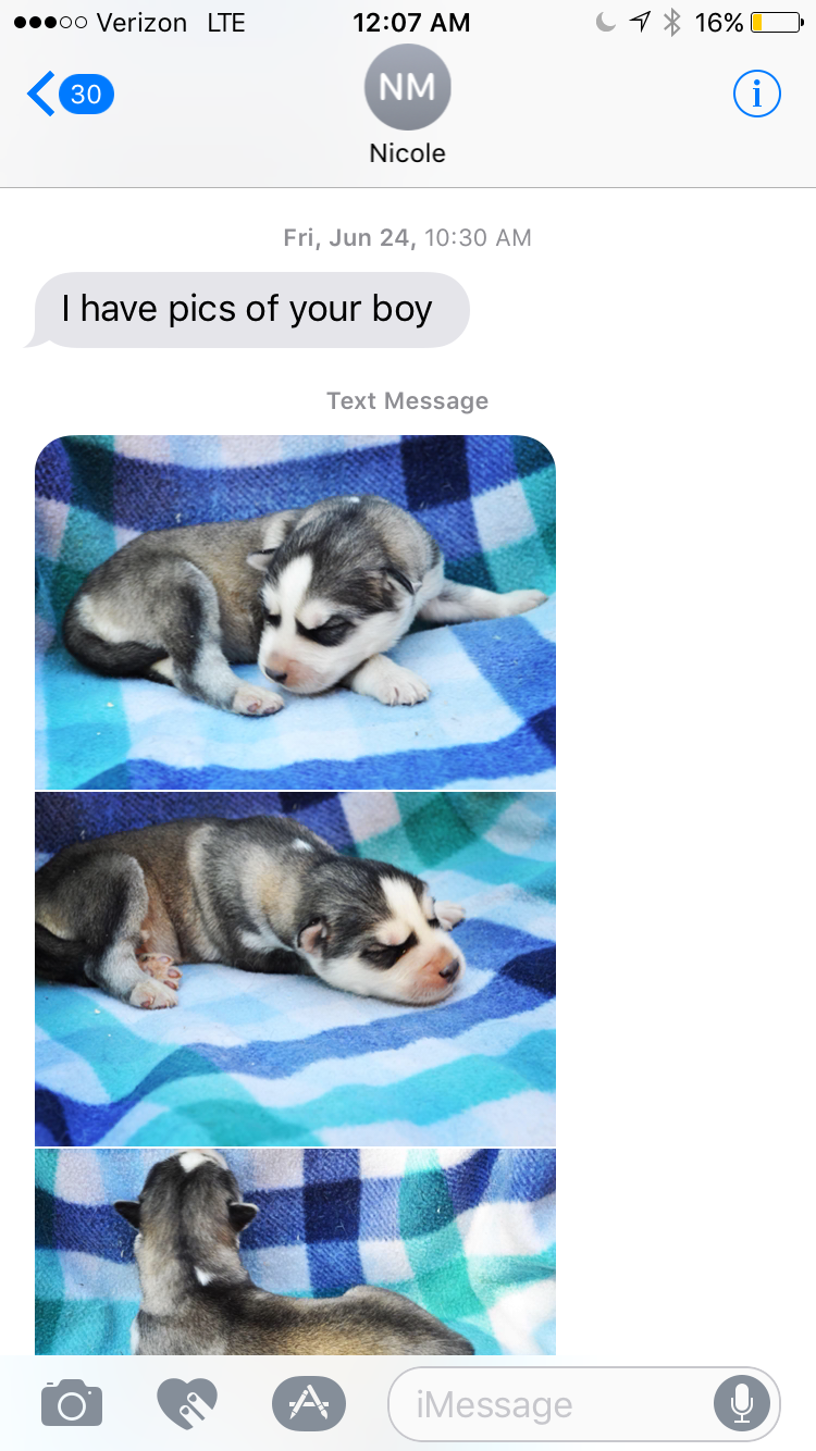 Text of when Nicole texted us pictures of one of the puppies of that litter she forged. Notice the date yet he wasn't born until June 26?