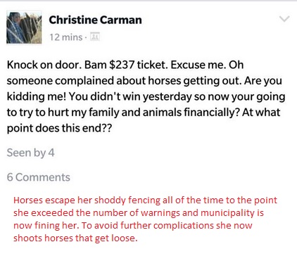 Christine has a VERY long history of horses escaping her tiny mud paddocks. Blames others for municipal fines. These days she just shoots them. 