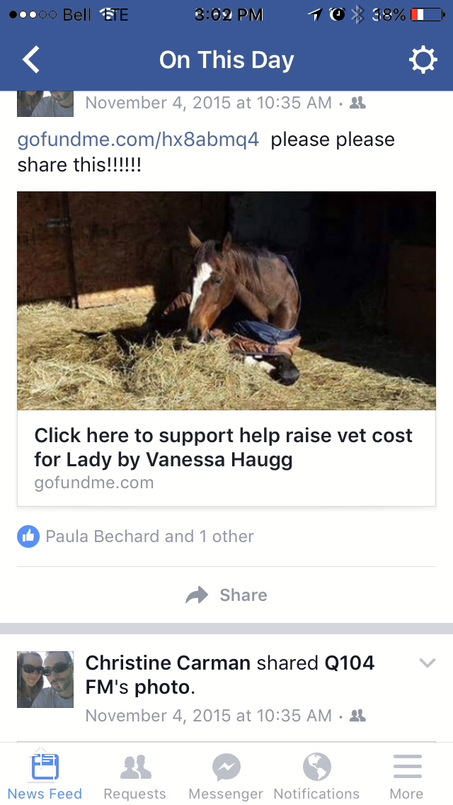 The horse lady she let lay in a barn and die because she could not afford a vet and thought herbs would work. Again one lost at the hands of Vanessa.