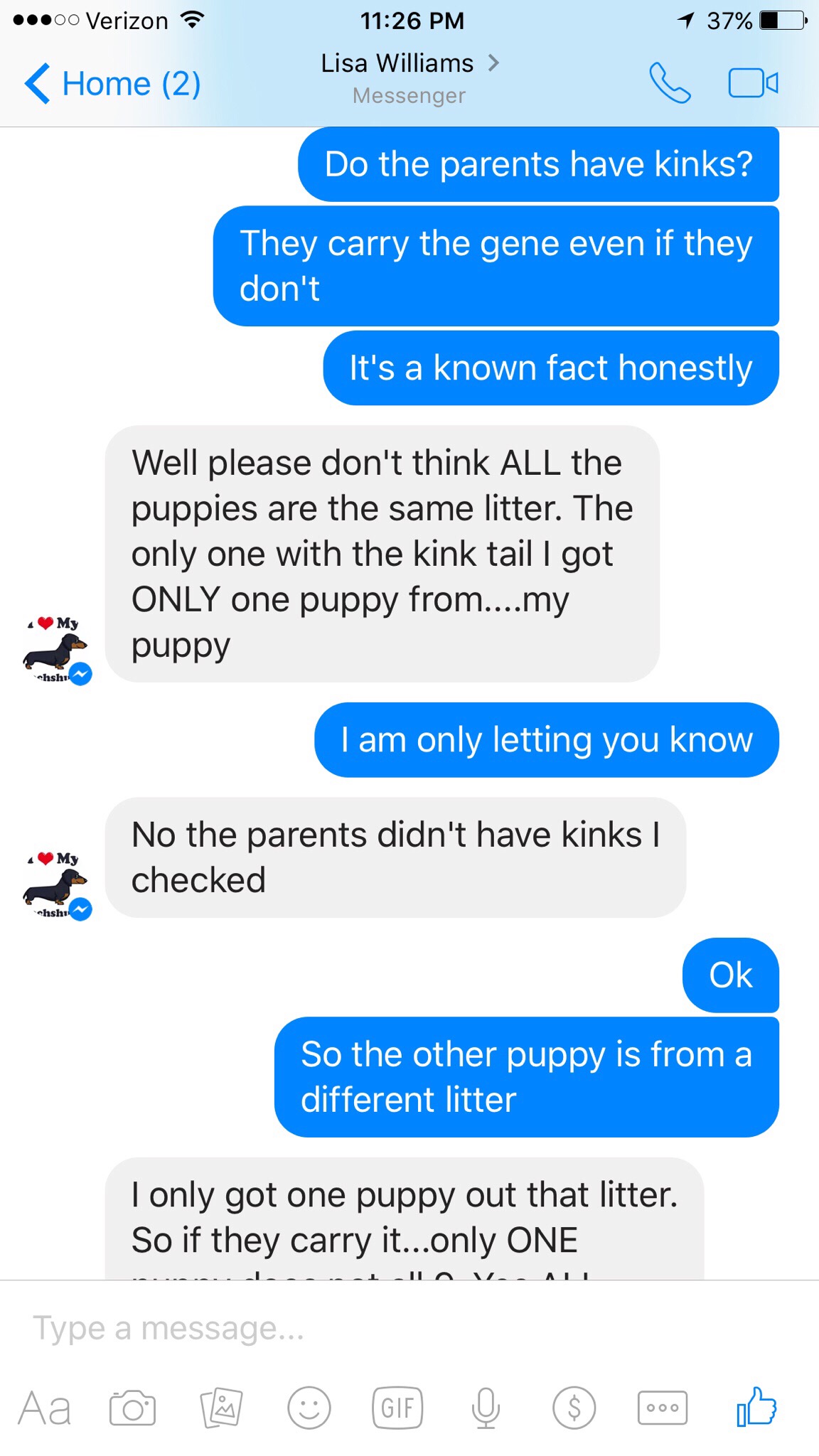 Continued screenshot on Lisa puppies 