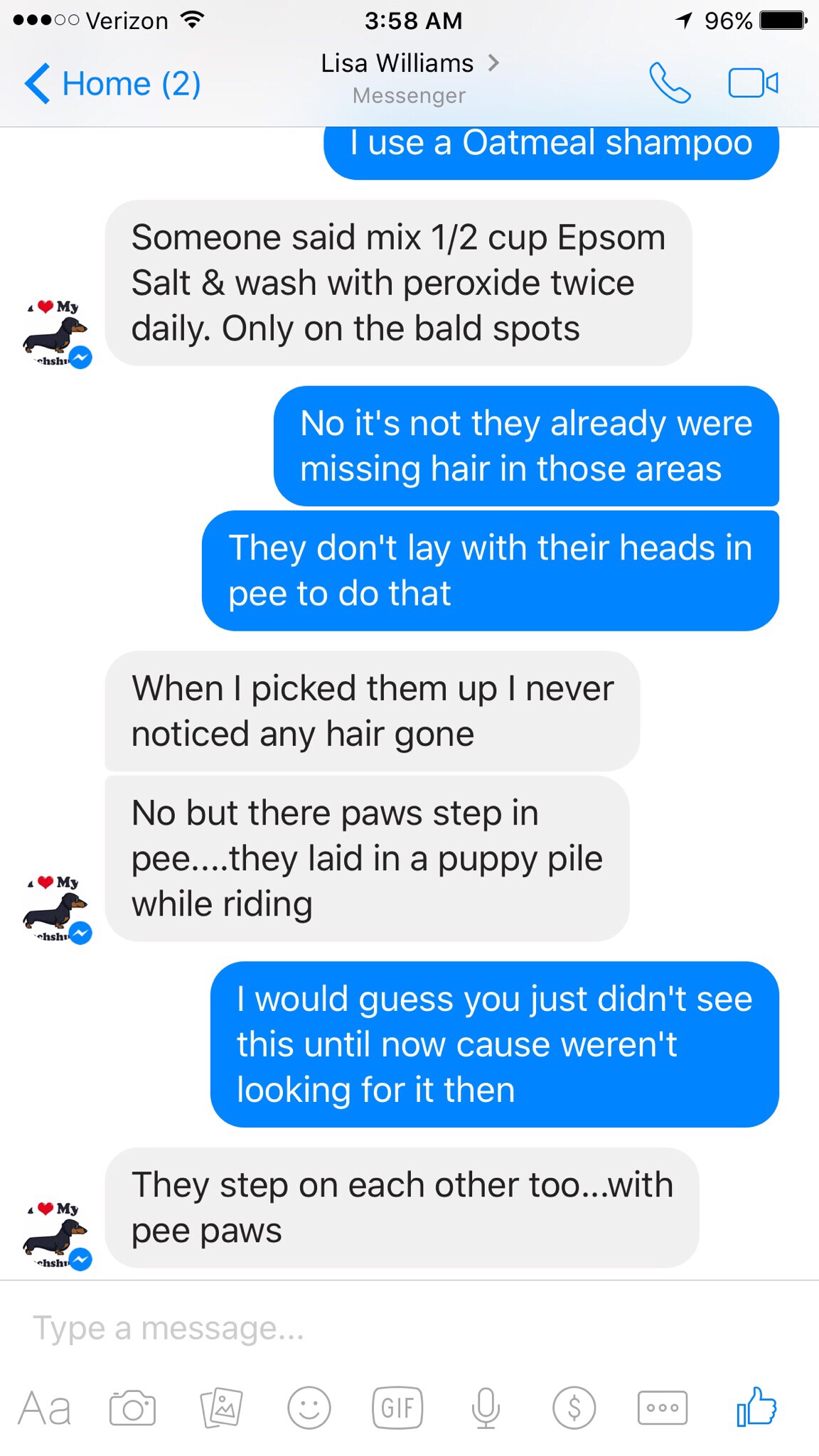 Continued screenshot from Lisa regarding the poor conditions of puppies 