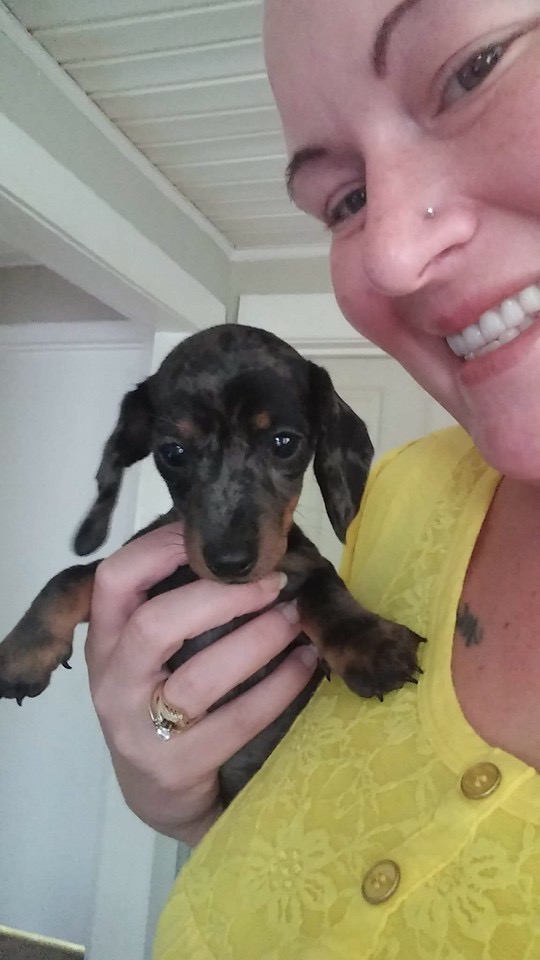 Pic of Lisa with a less quality bred dachshund puppy that appears to be under nourished or just poor breeding or both. 