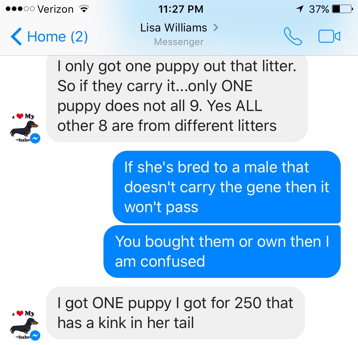 Screenshot continued on puppies of Lisa Williams 

I tried to help educate her & later was turned on leading to her report of lies about me 