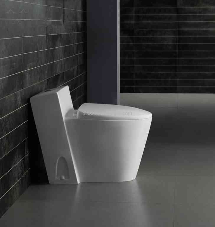 Website photo of toilet.