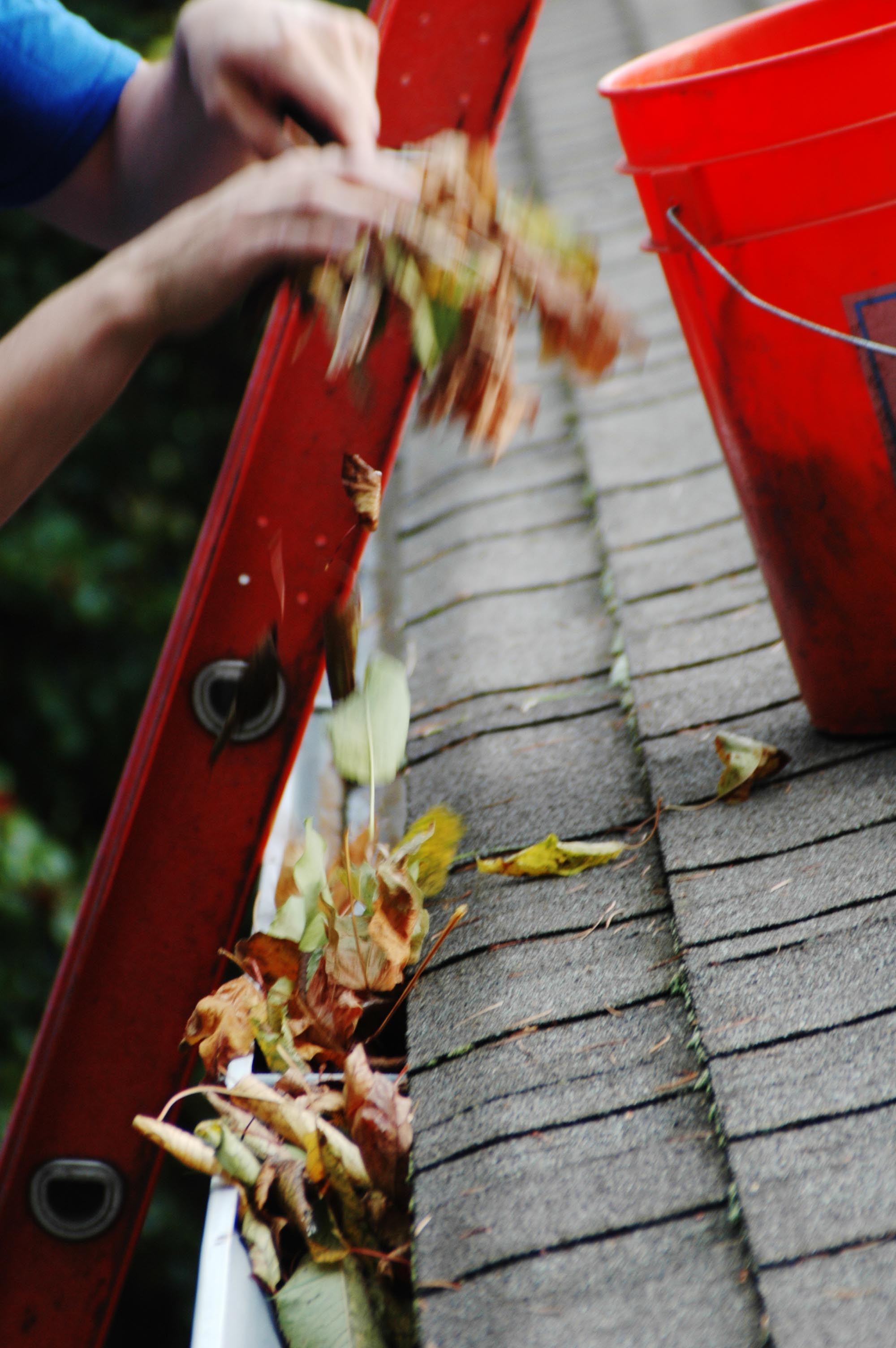 Clean Gutters are an Important aspect of your home or property maintenance!