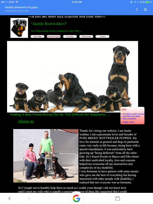 here's the Justinrottie website picture