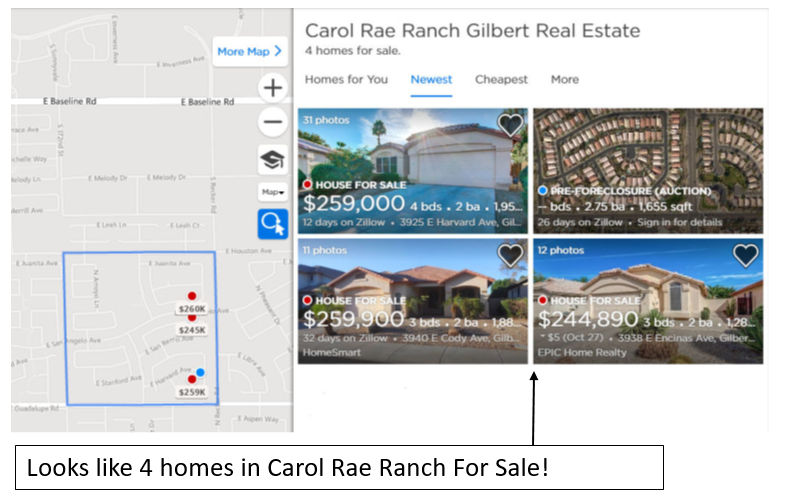 Different Homes for Sale in Carol Rae Ranch