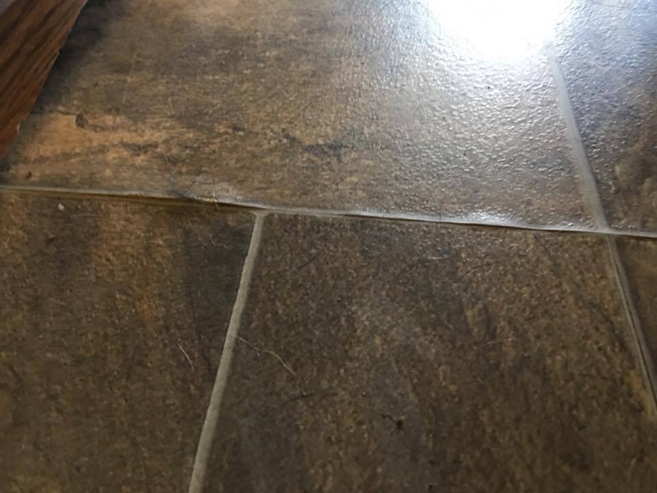 This is the flooring they find no problem with?