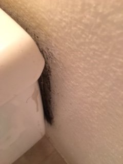 BAD mold in bathrooms... Completely black behind toilet and on ceilings and walls.
He just uses bleach and paints over... Does not solve the problem further.