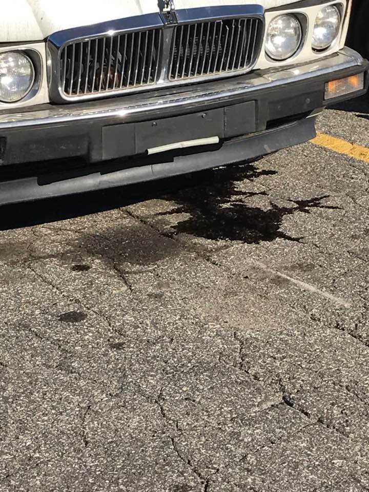 That oil leak wasn't there before we tried cranking it over... but it didn't start either. 