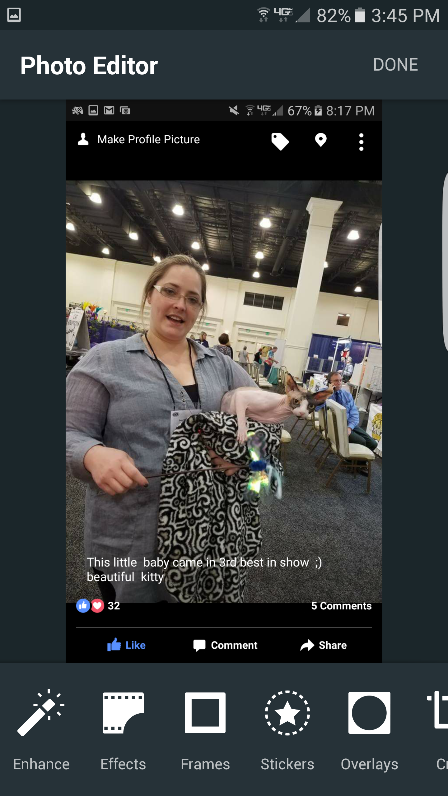 This is the breeder that in on her pictures shauantay Burris of scantillycladsphynx.com and she started a huge bully fest on a sphynx site sphynx fan cat club with over 15000 members that witnessed th