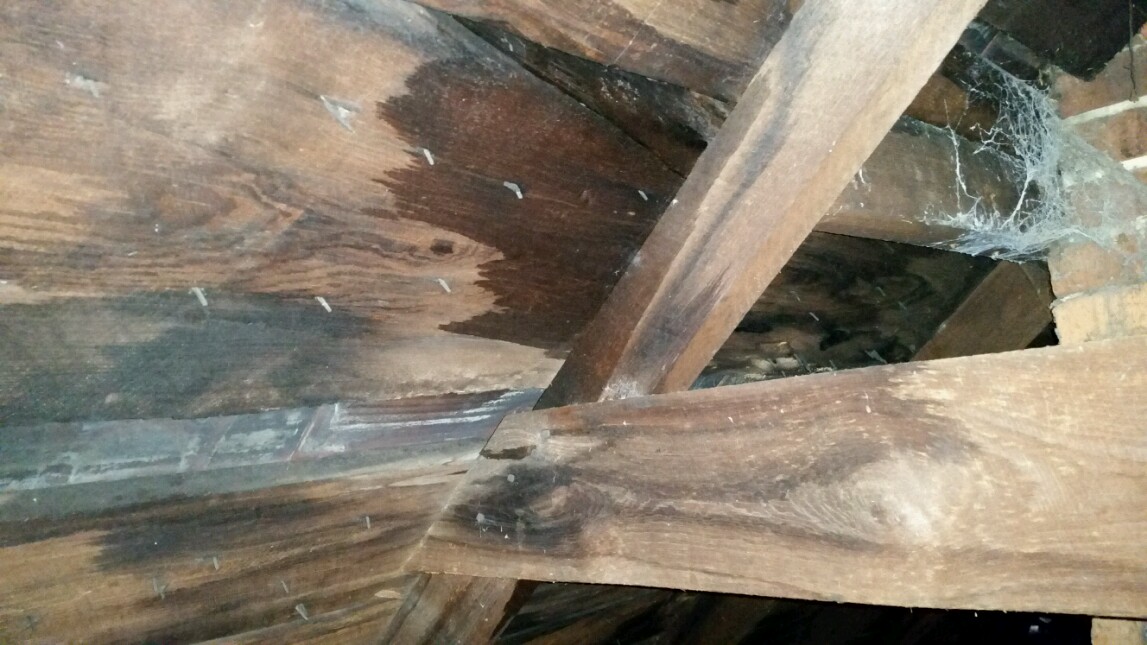 Roof leak