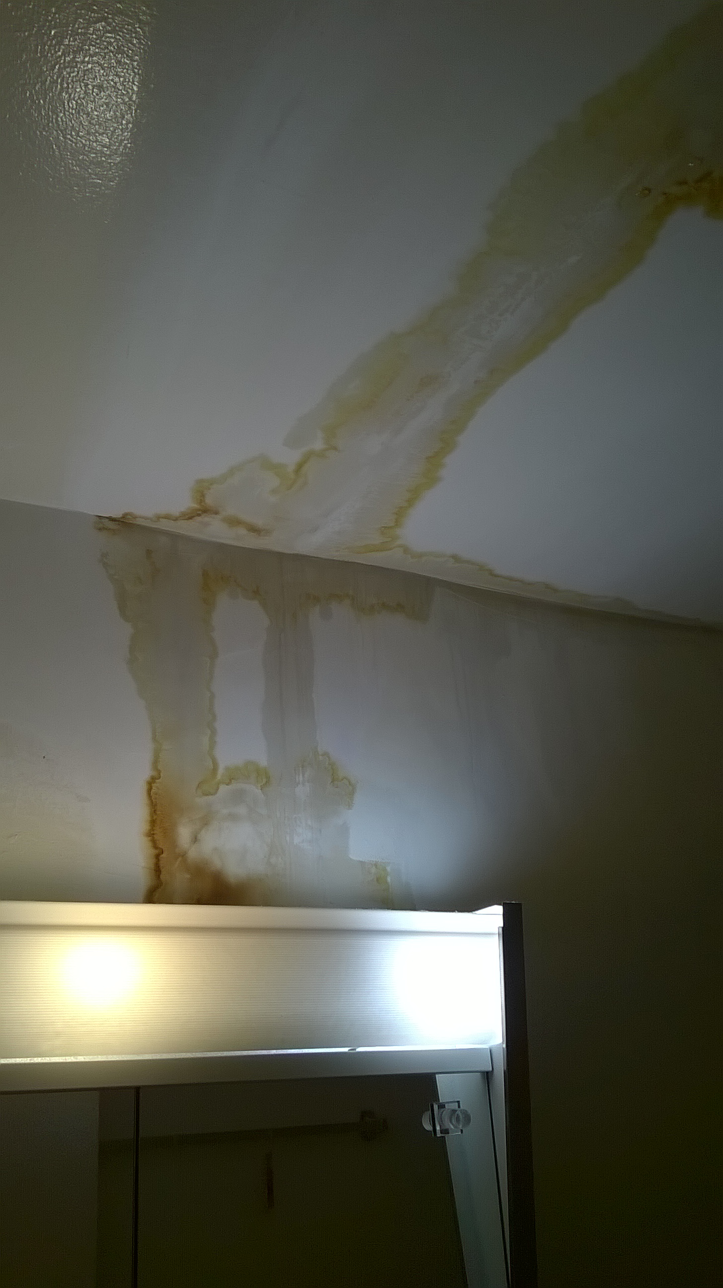 Ceiling leak in the bathroom.