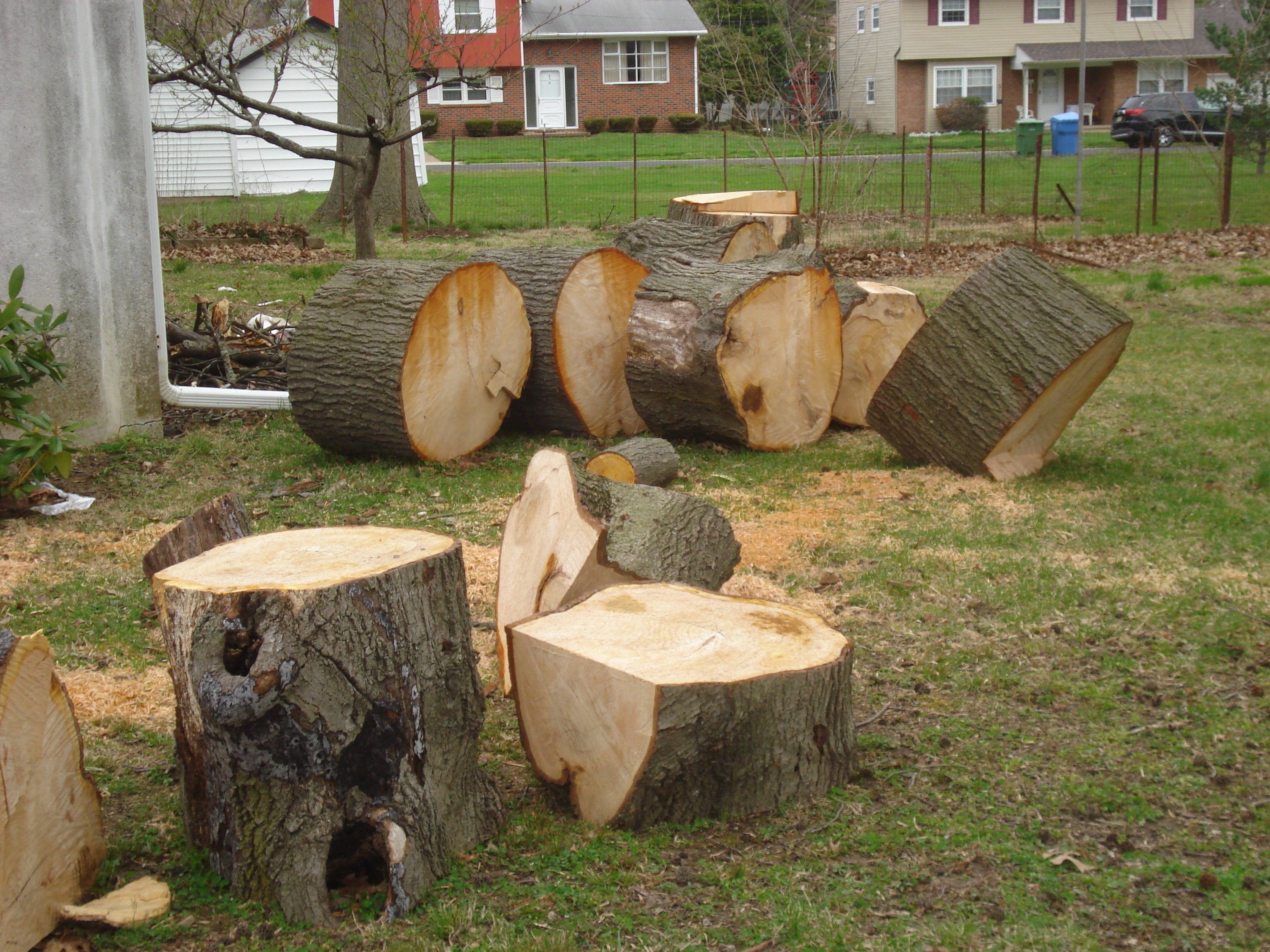 Tree trunks left by EZ Tree for owner to get rid of after they were paid to do the job