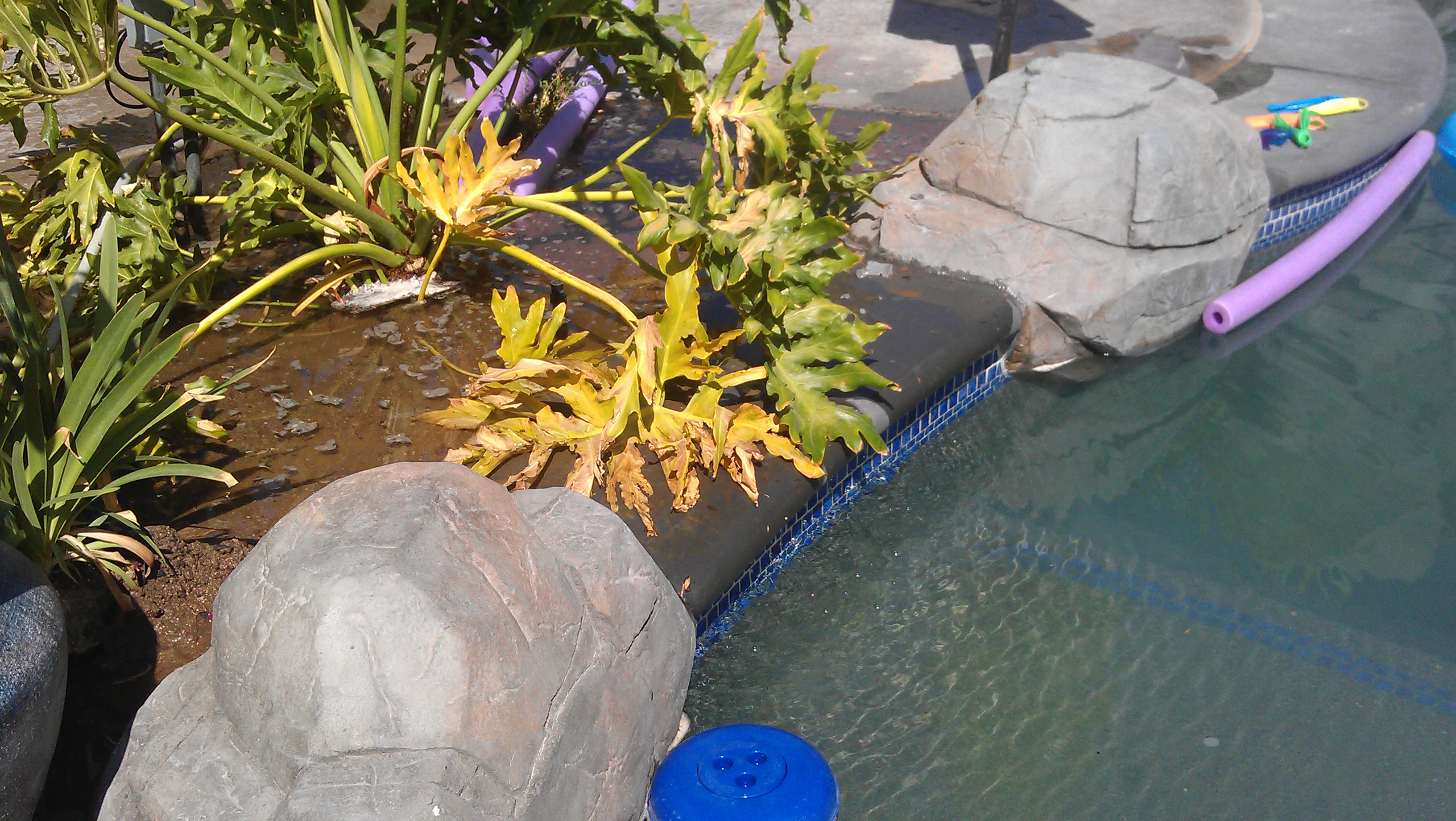 The deck was slopped to the pool causing the planters to overflow into the pool with Mud, By Oasis Custom Pools