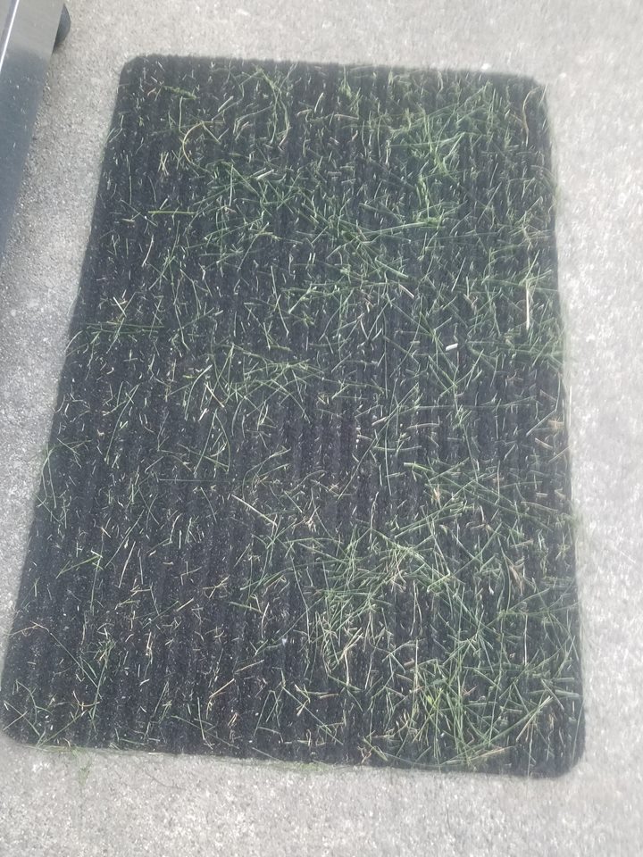 another rug 