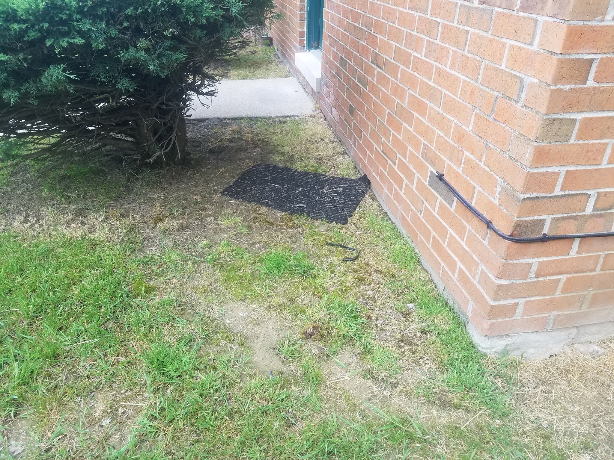 the rug they blew off my porch