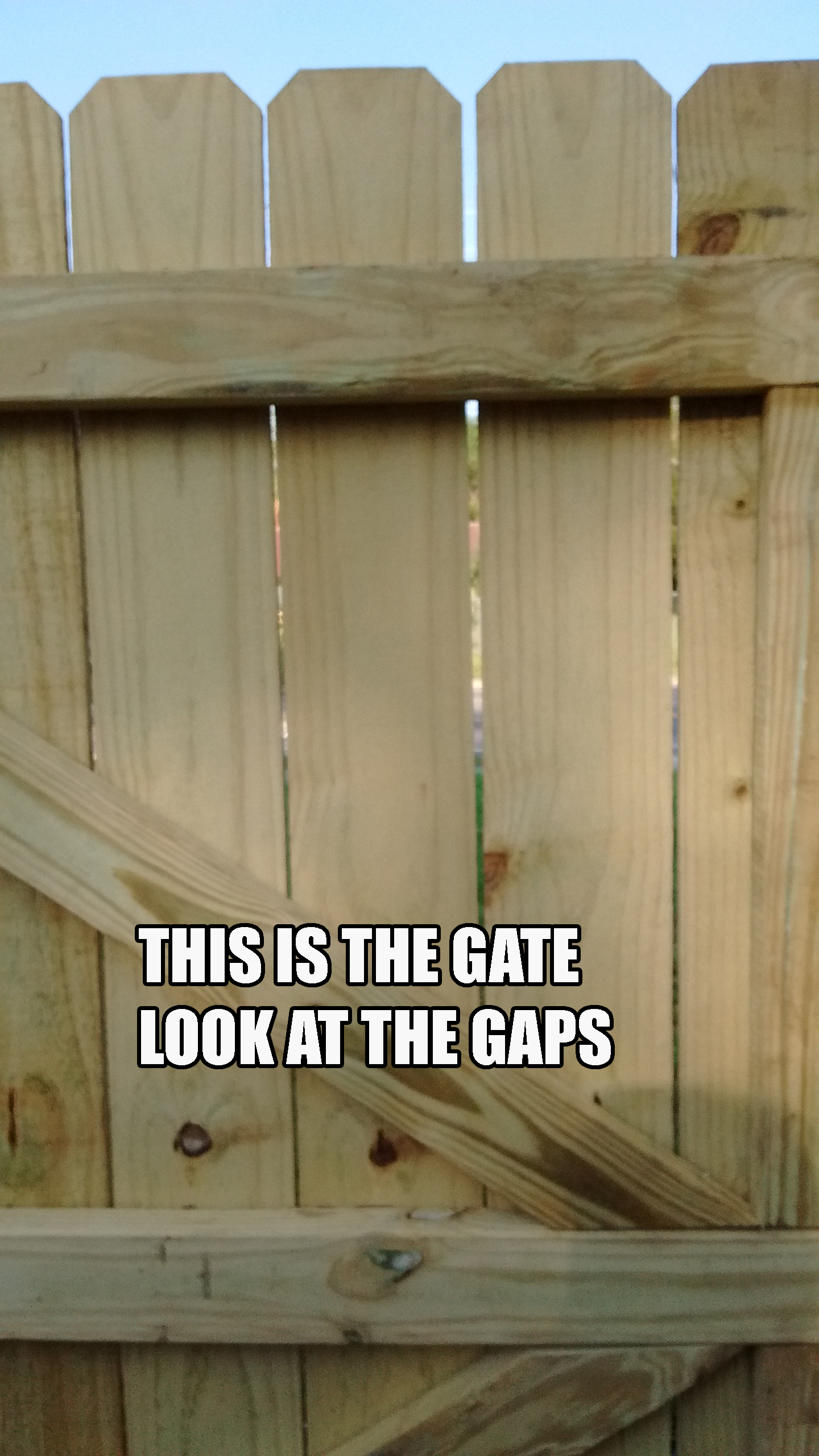 Gaps are too wide in the gate and basically everywhere else in this fence.