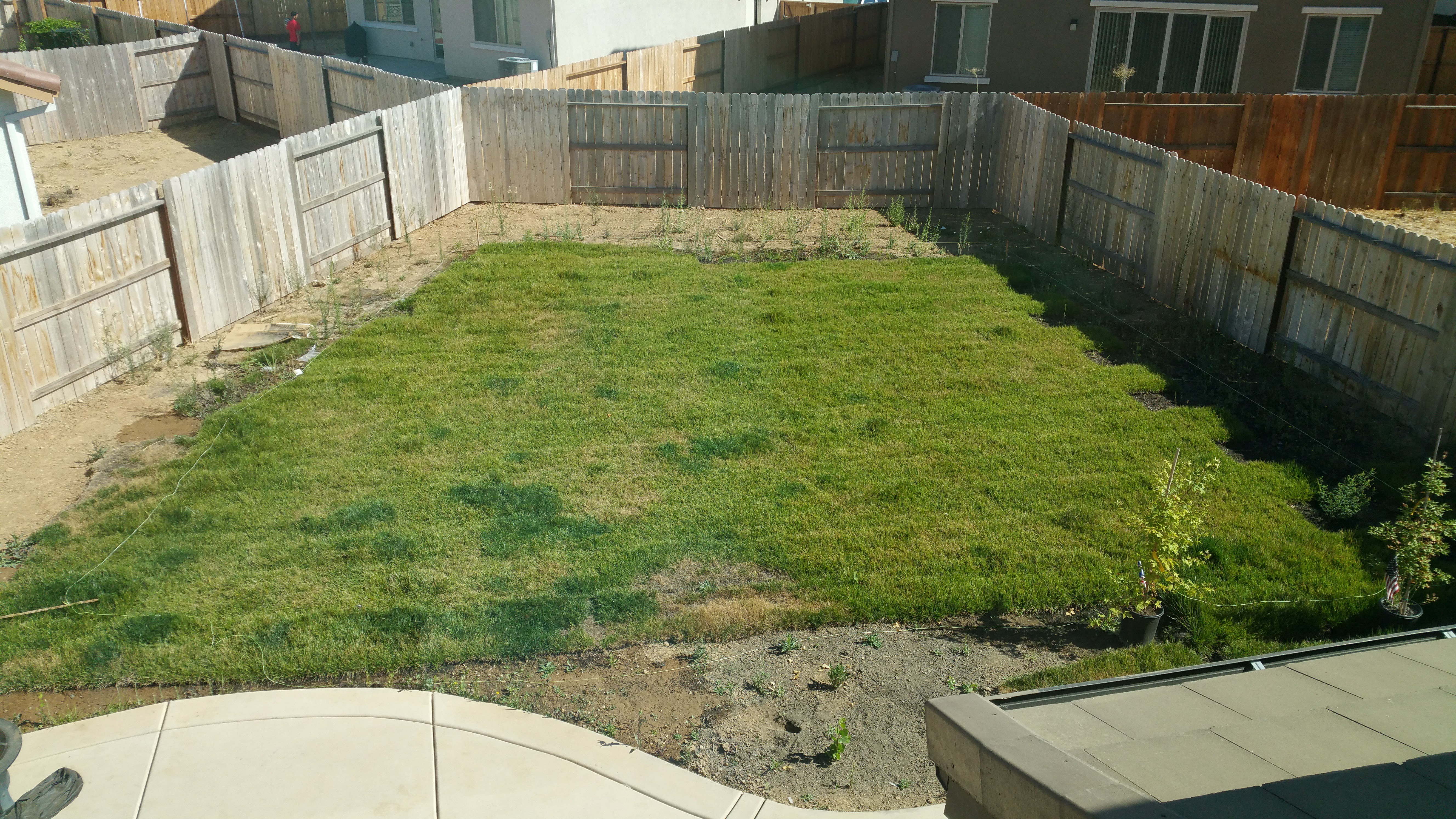 Unfinished back yard. Weed growing underneath. Landscape is not leveled. Grass level is higher than concrete. Right side not finished laying SODS. No prior drainage pipe so every time we water it, it 