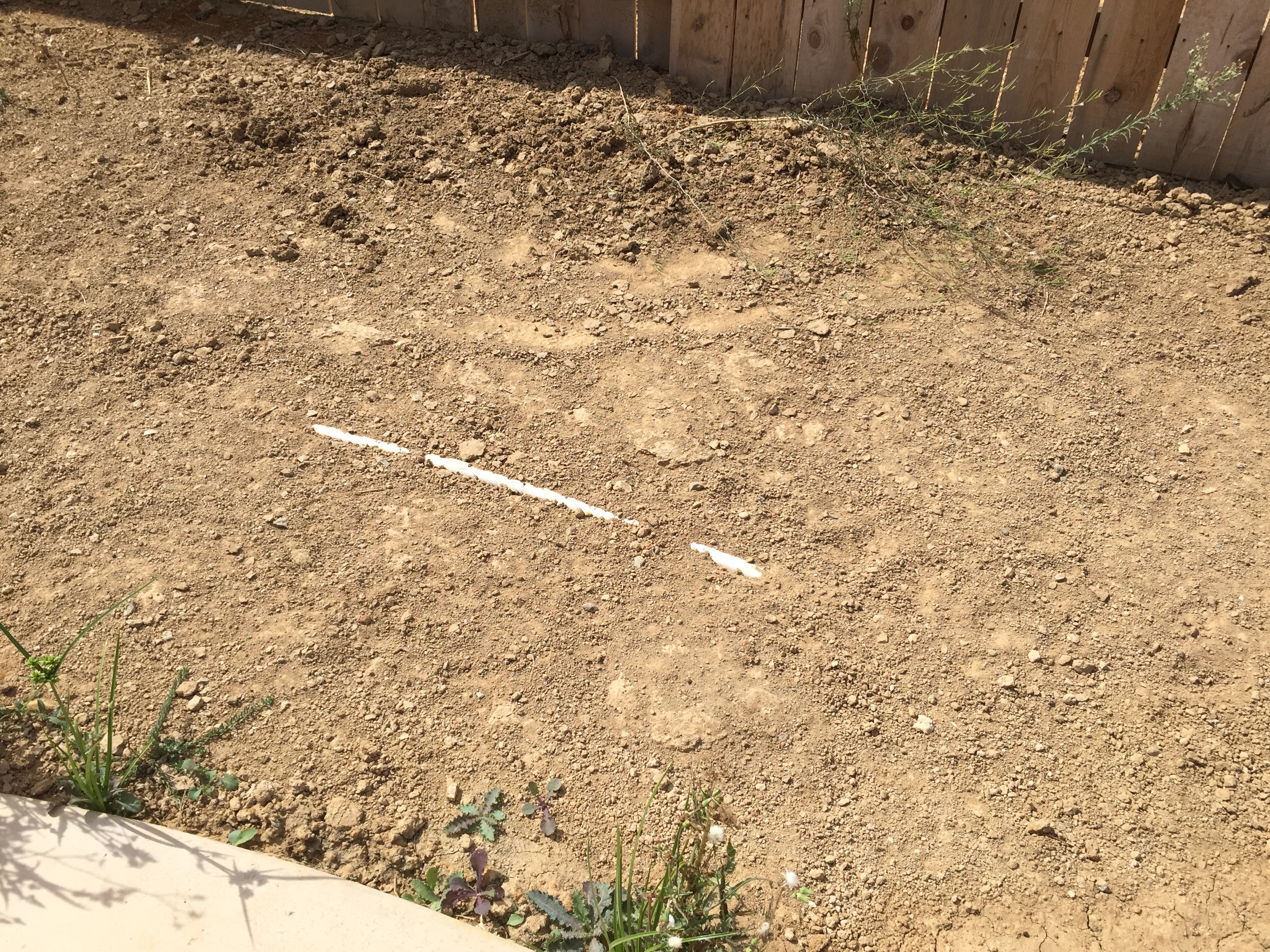 Sprinkler pipes sticking out of the ground. Didn't call PG&E for digging check.