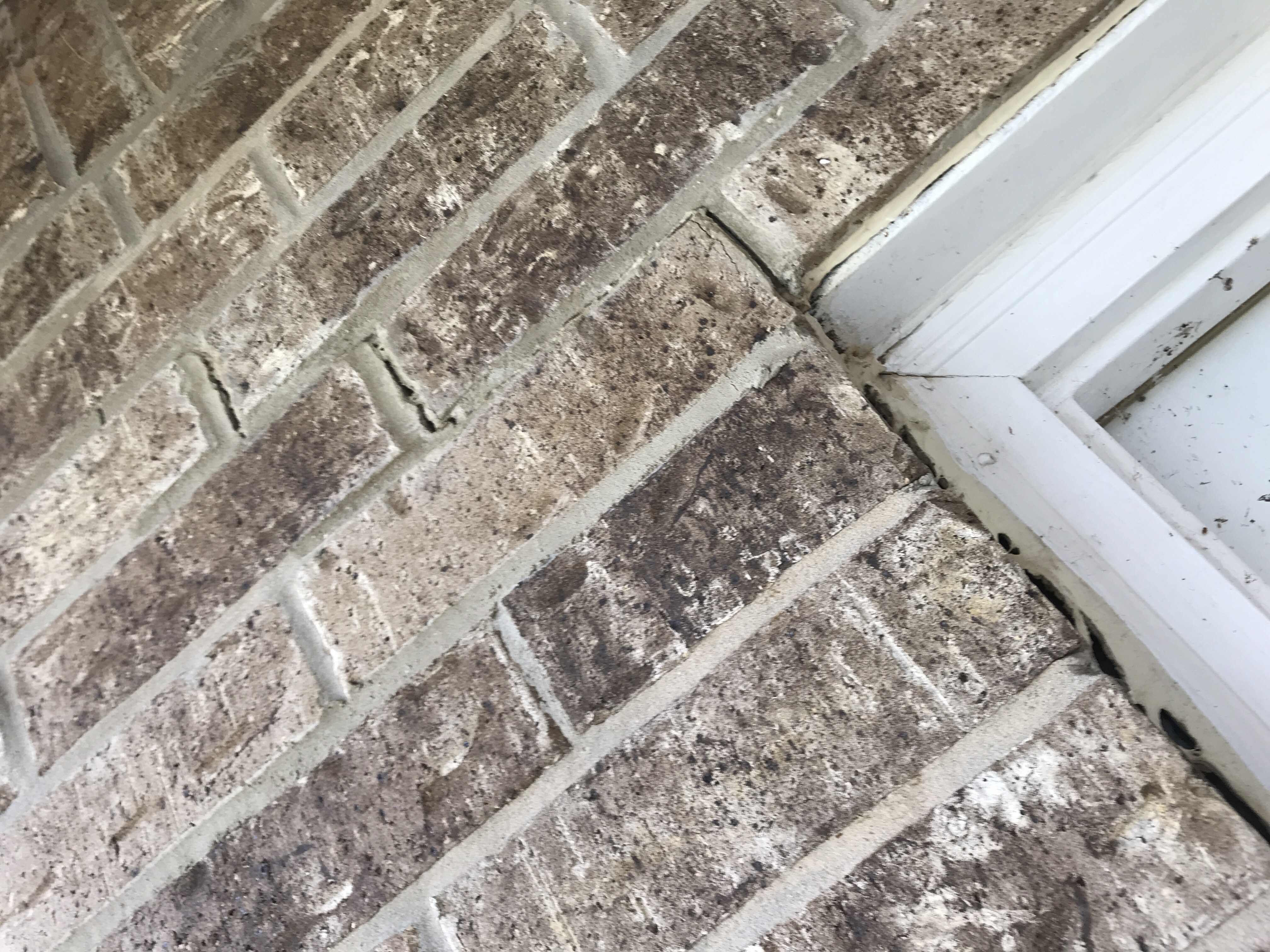 Kitchen floor and outside brick