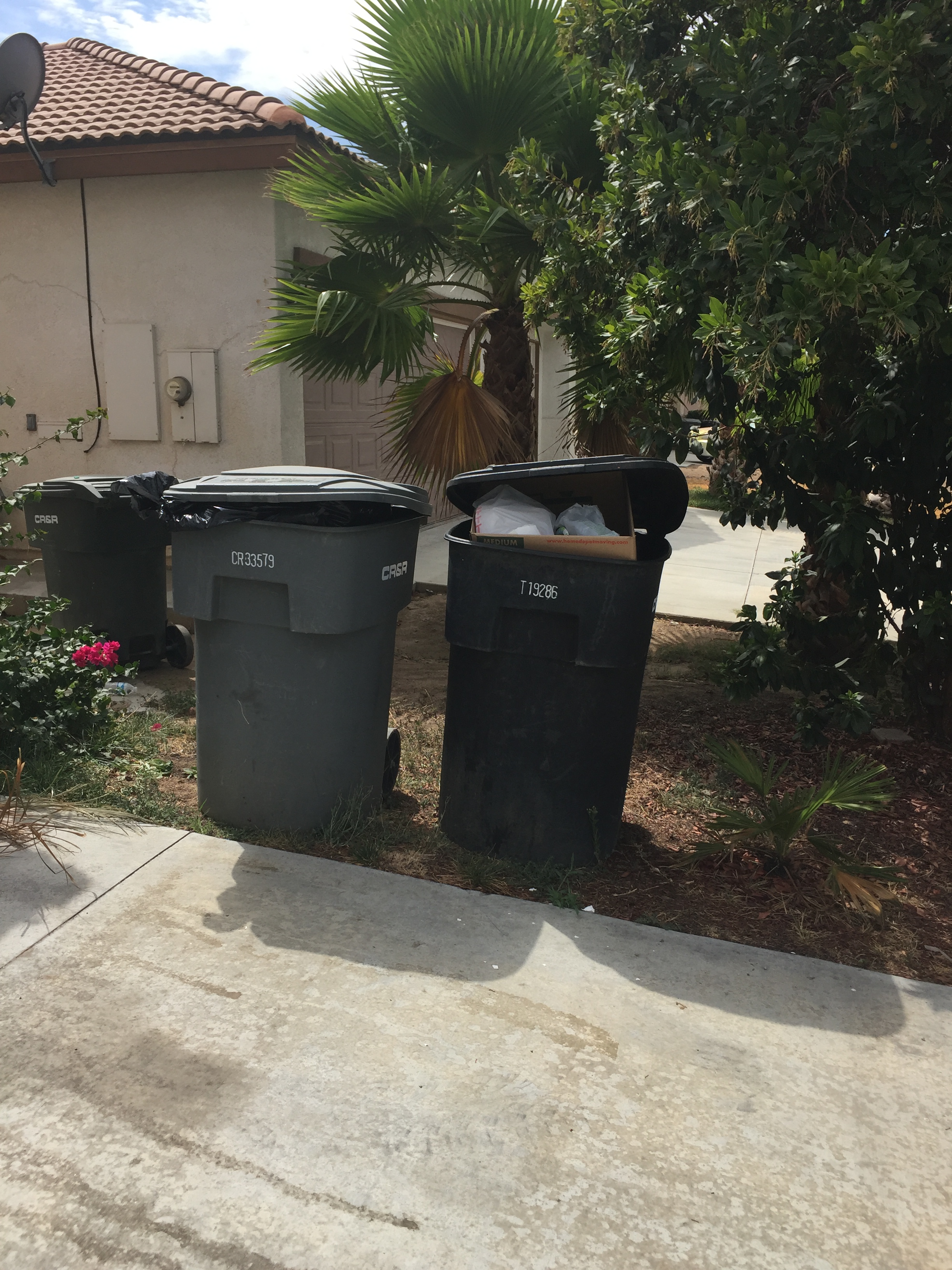 Piling trash outside and not paying utility bills