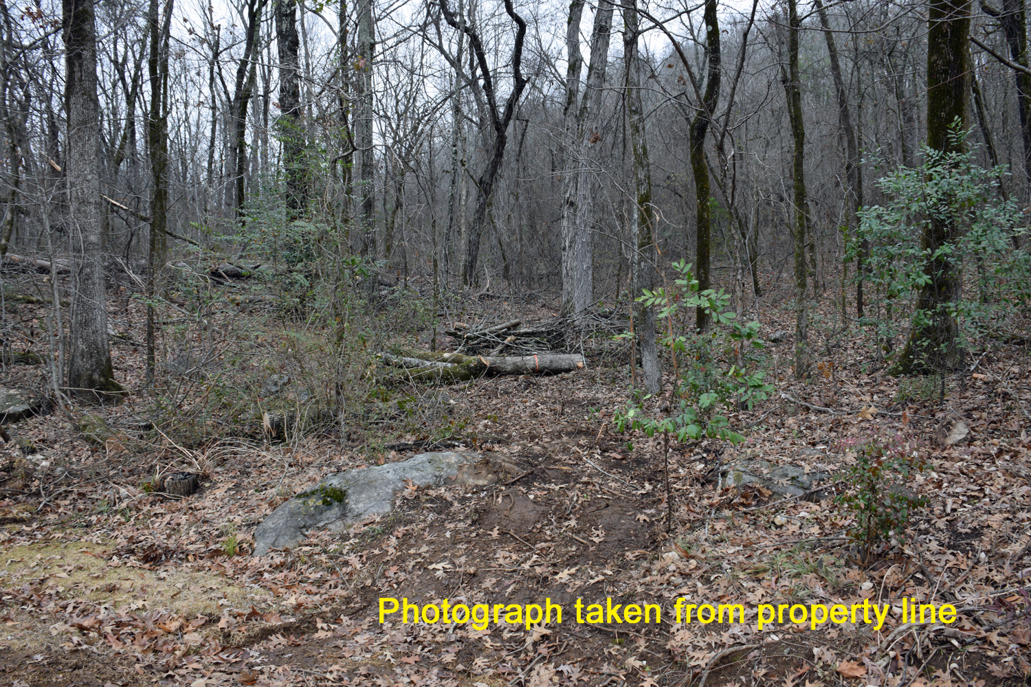 Photograph taken from property line