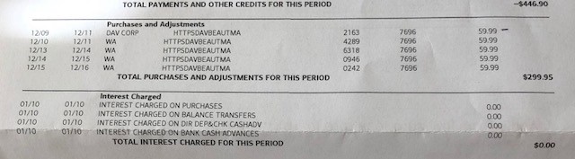 copy of daily charges from DAV Beauty on cc