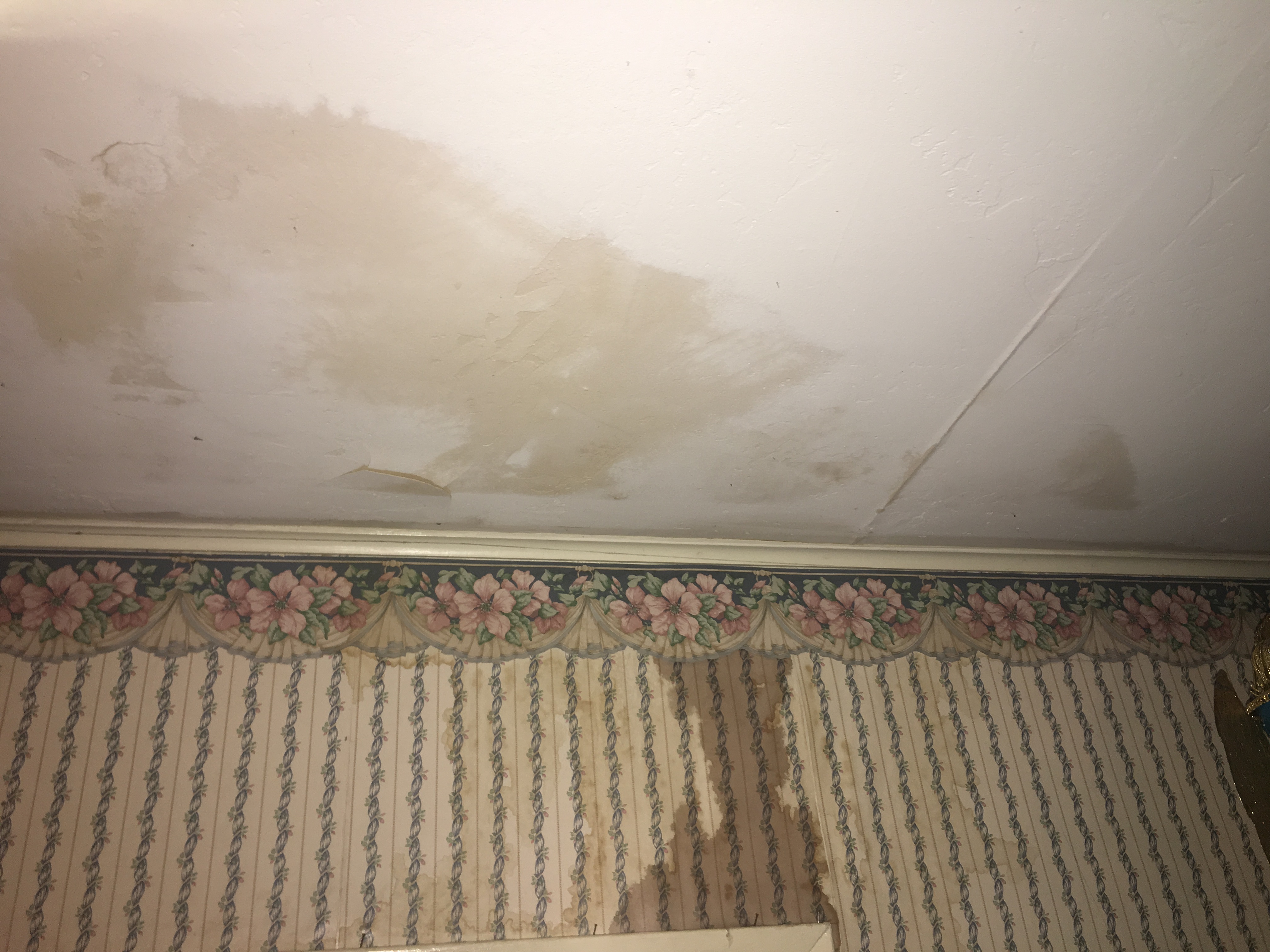 Damaged ceiling and wallpaper from leaking rain