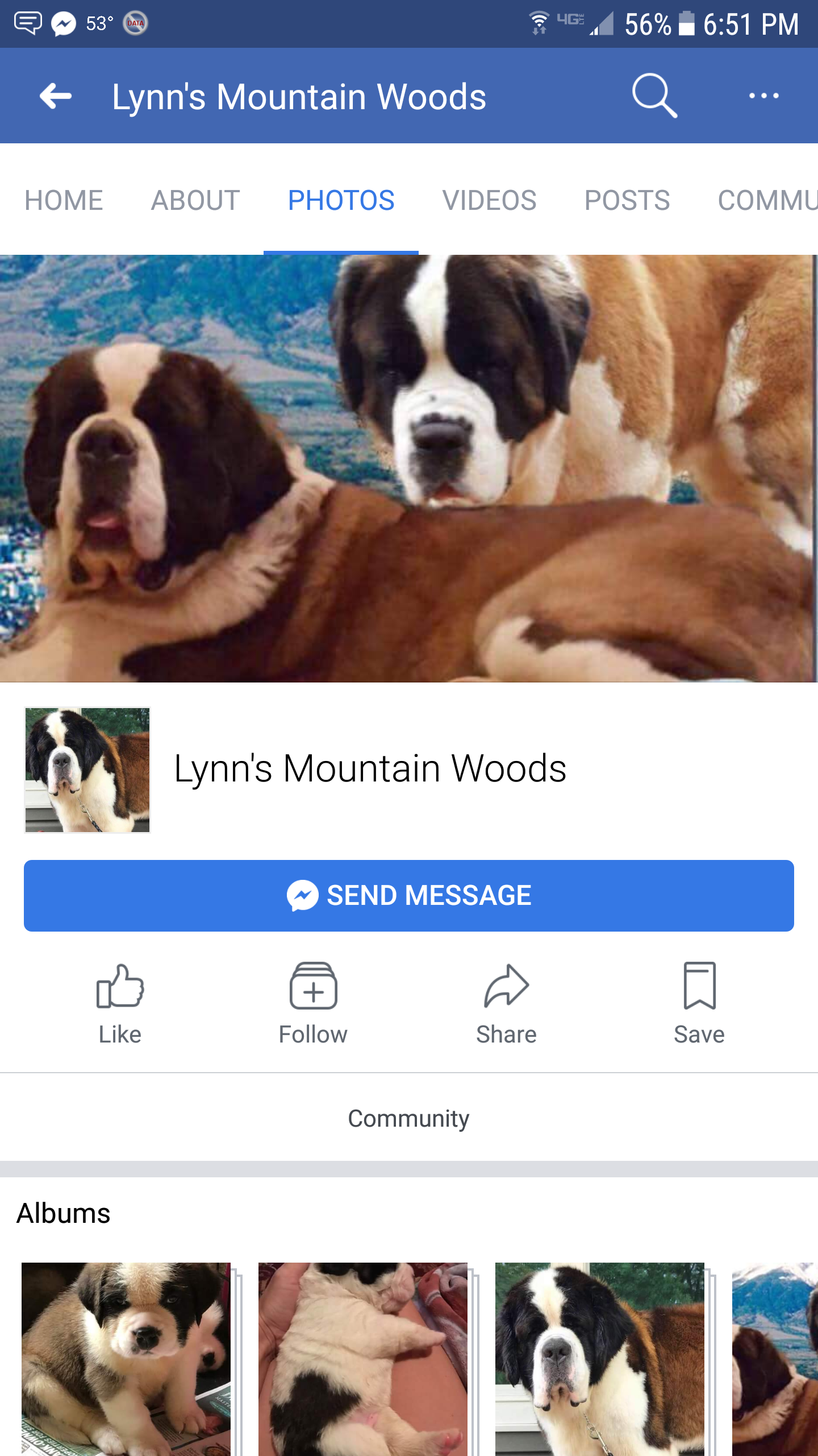 Lynn's Mountain Woods Saints 