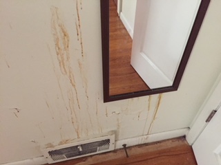 Unidentifiable brown ooze in bedroom. Not fixed. 