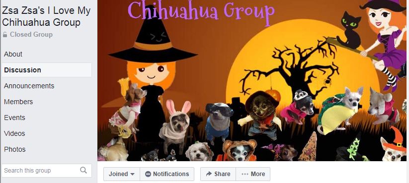 Zsa Zsa's scammers group