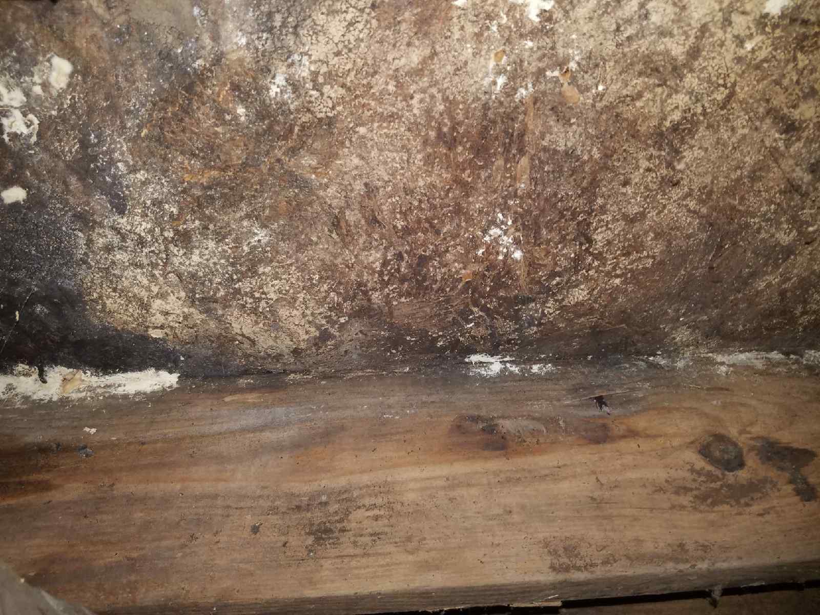Particle board swollen from hot water spray