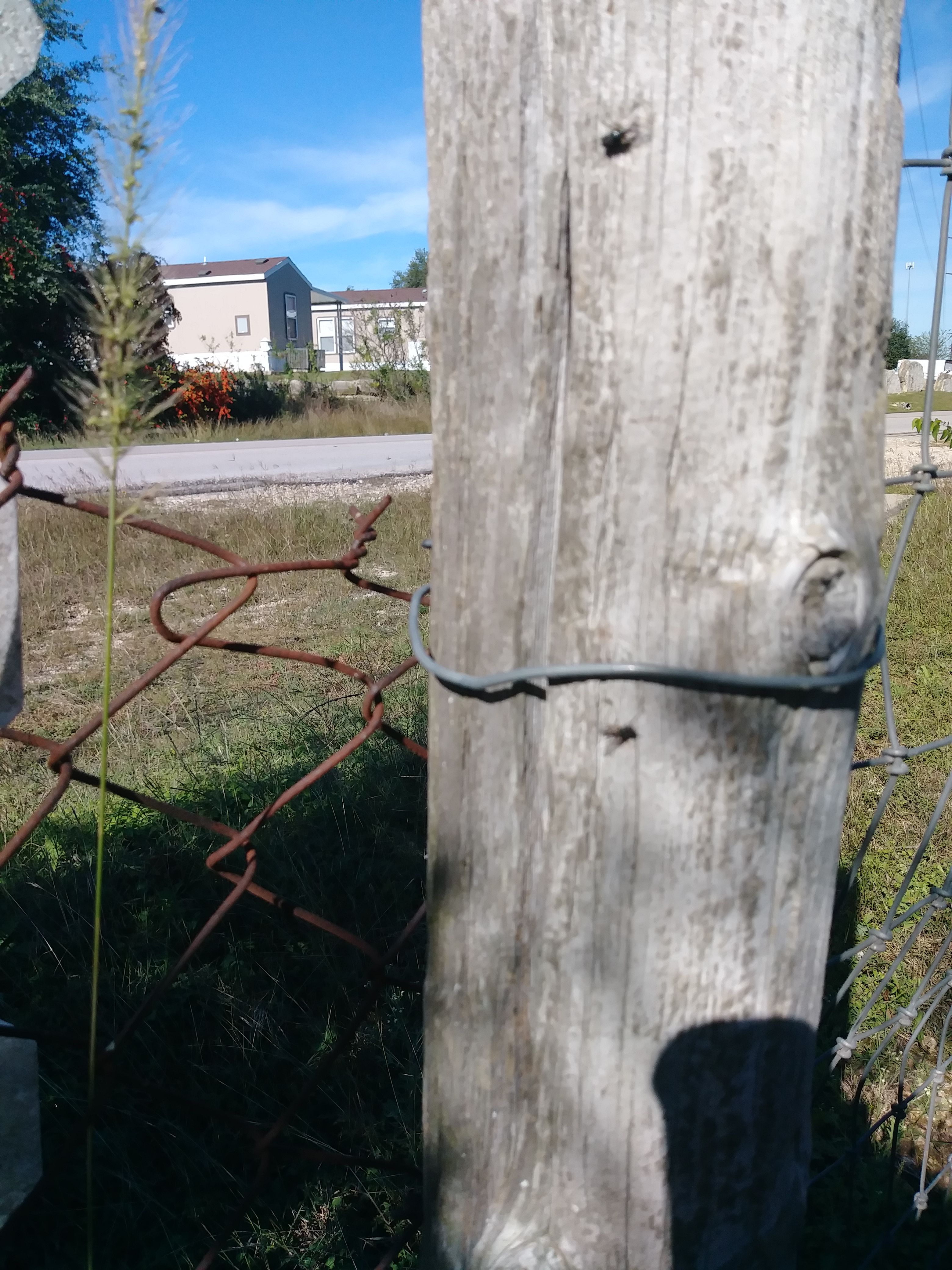 Repairs fence 4 pieces of wire - Charges THOUSANDS