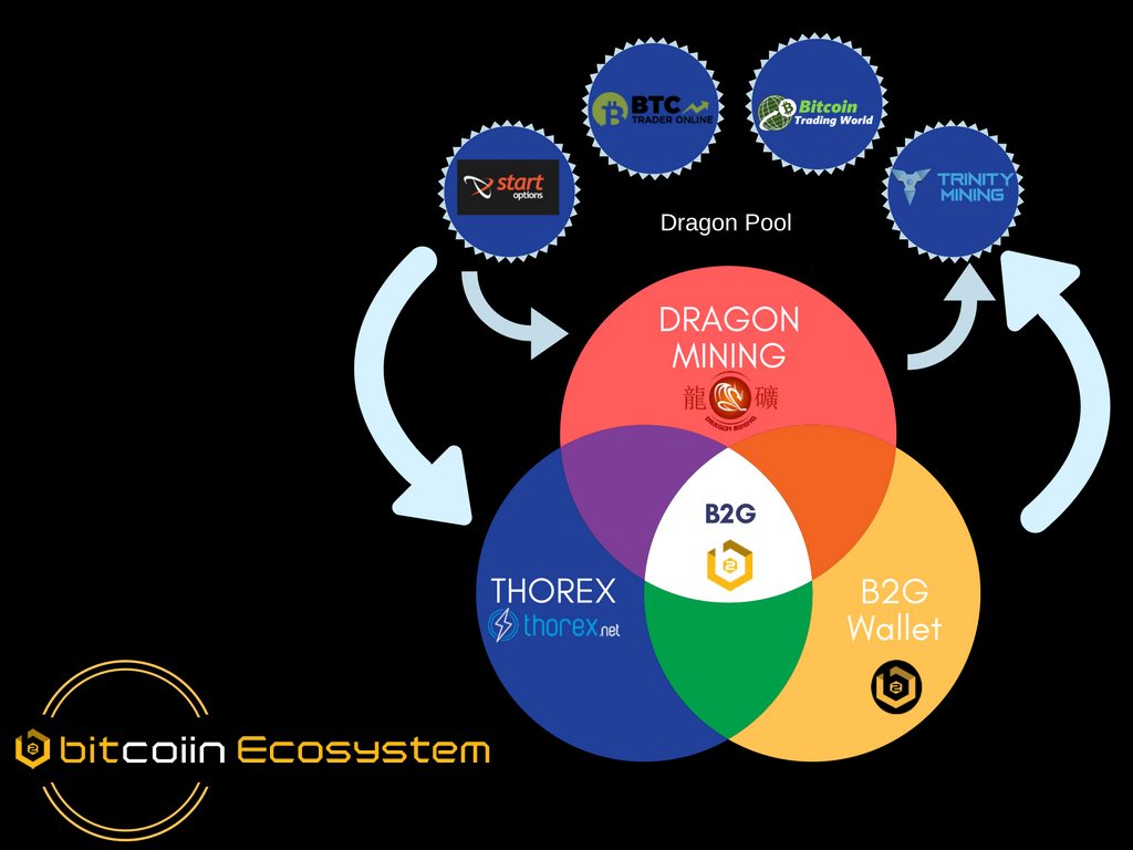 Bitcoiin Ecosystem