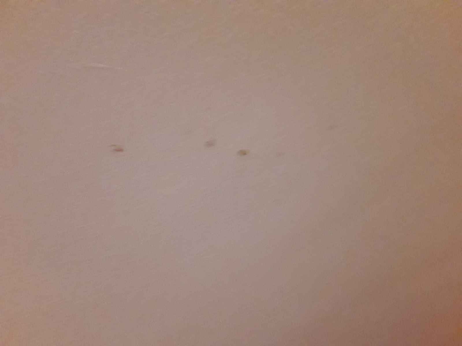 blood on the walls for 3 months