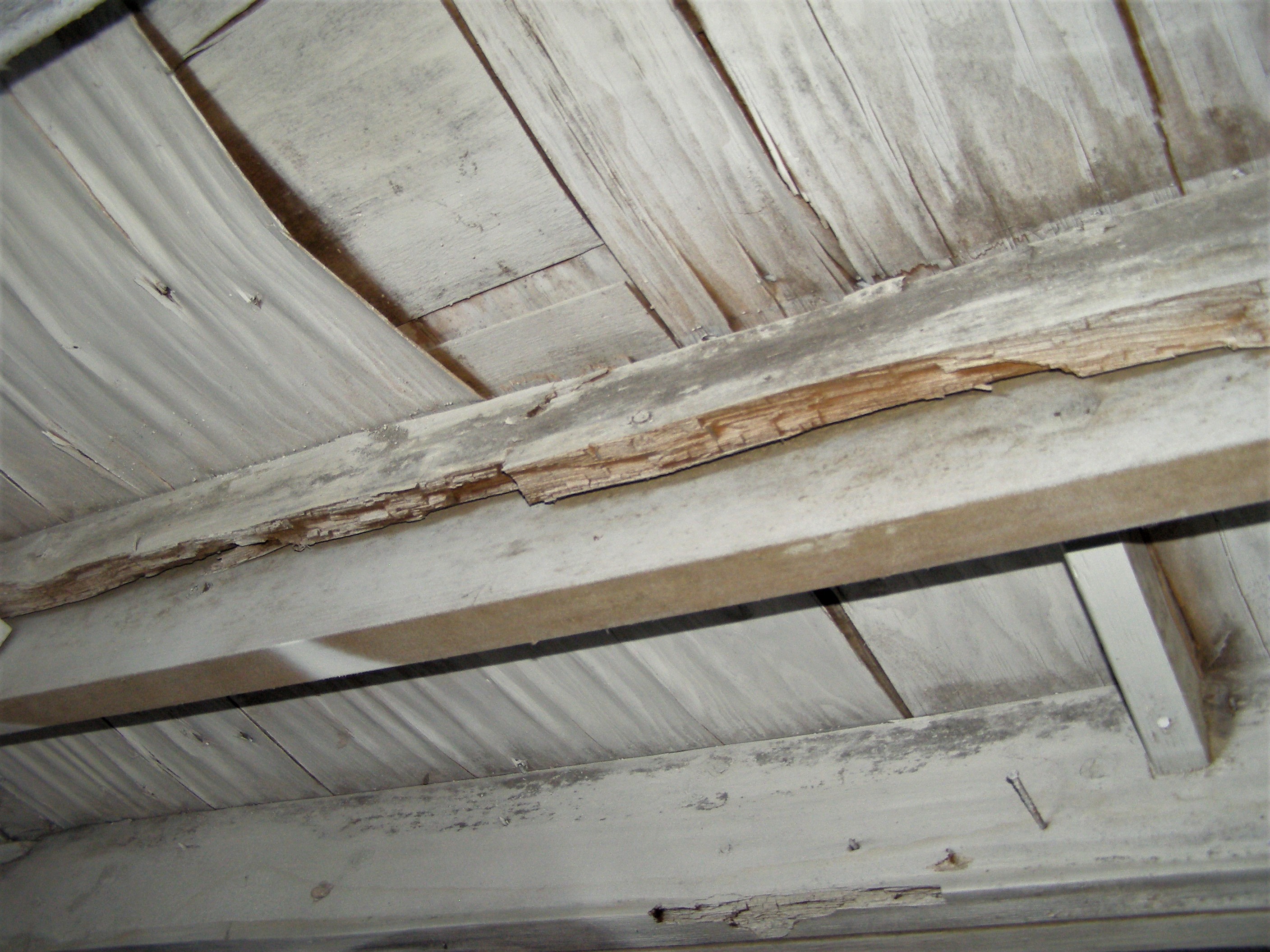 joist repair? typical