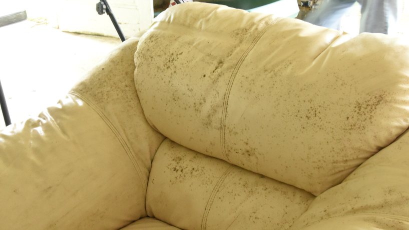 Reclined RUINED by Moldy Garage