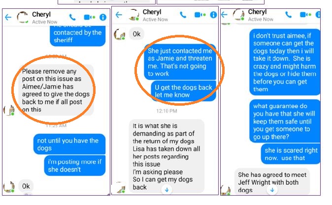 Cheryl asking Linda to remove the post