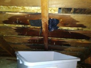 Leaking flooding Attic