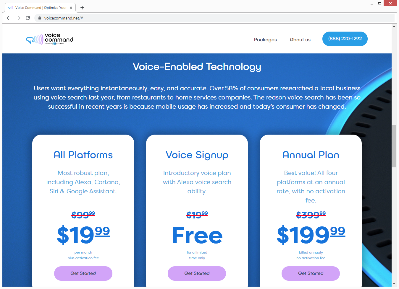 VoiceCommand.Net SCAM pricing structure