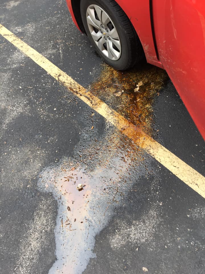 oil leaking out of my car 