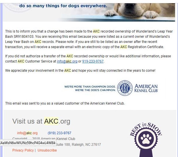 the e-mail from AKC showing the dogs was put in he