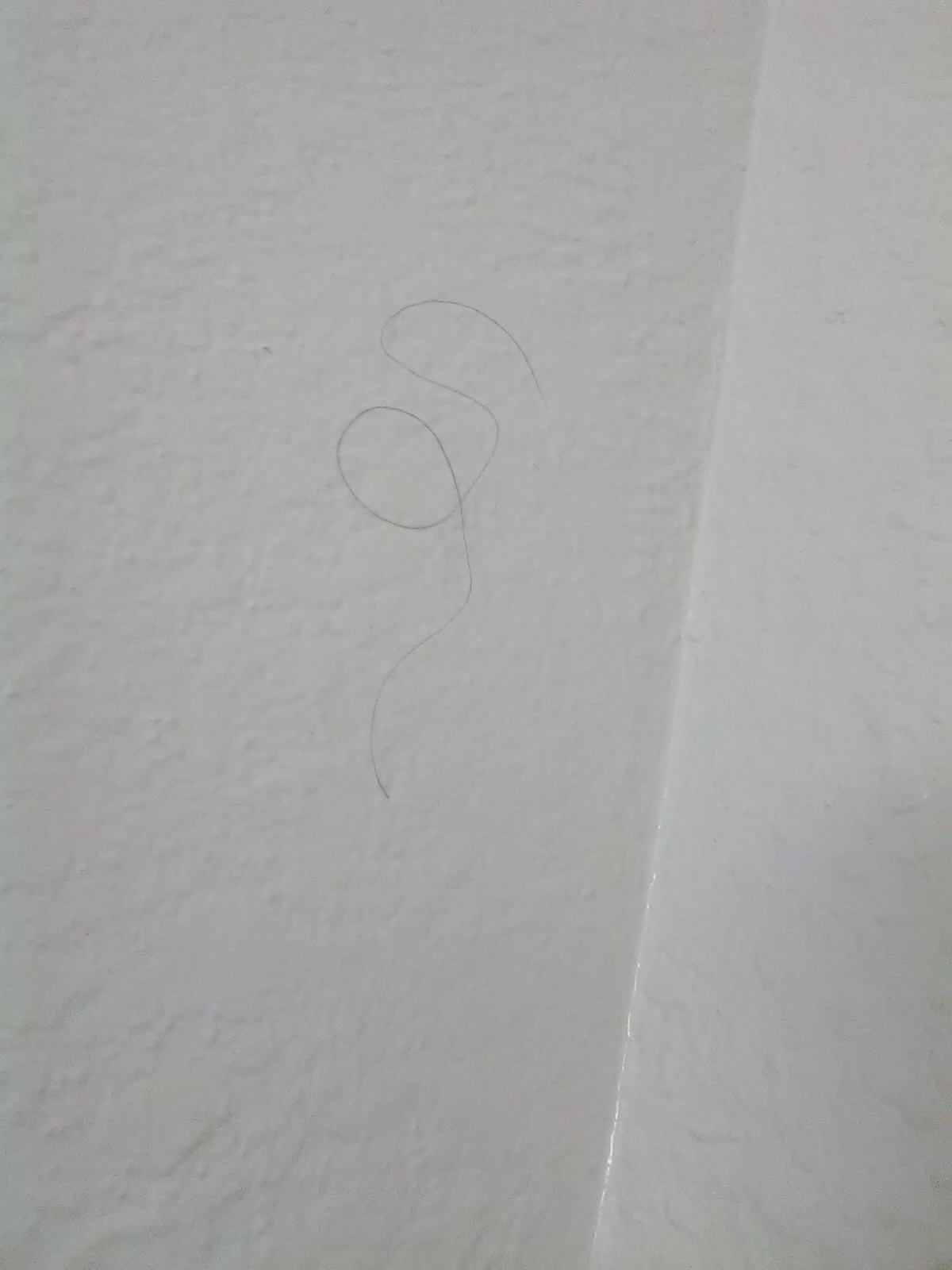 Hair on bathroom wall